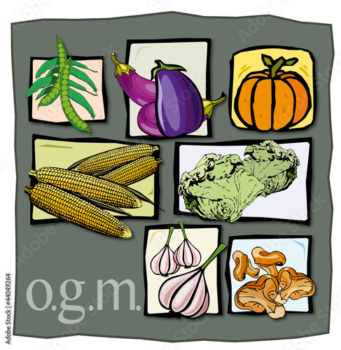 verdura ogm