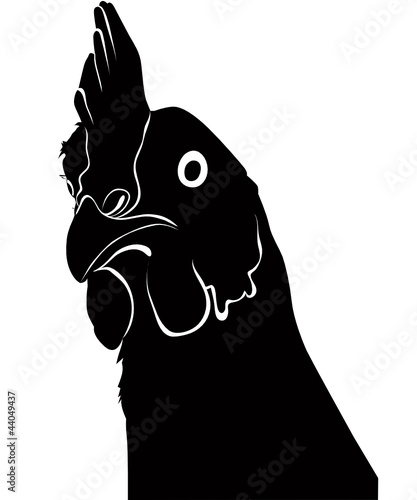 Cock a hen a chicken of a bird it is isolated  vector farm