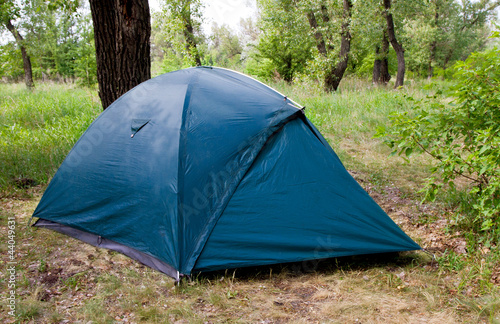 tourist tent in forest © Pavlo Klymenko