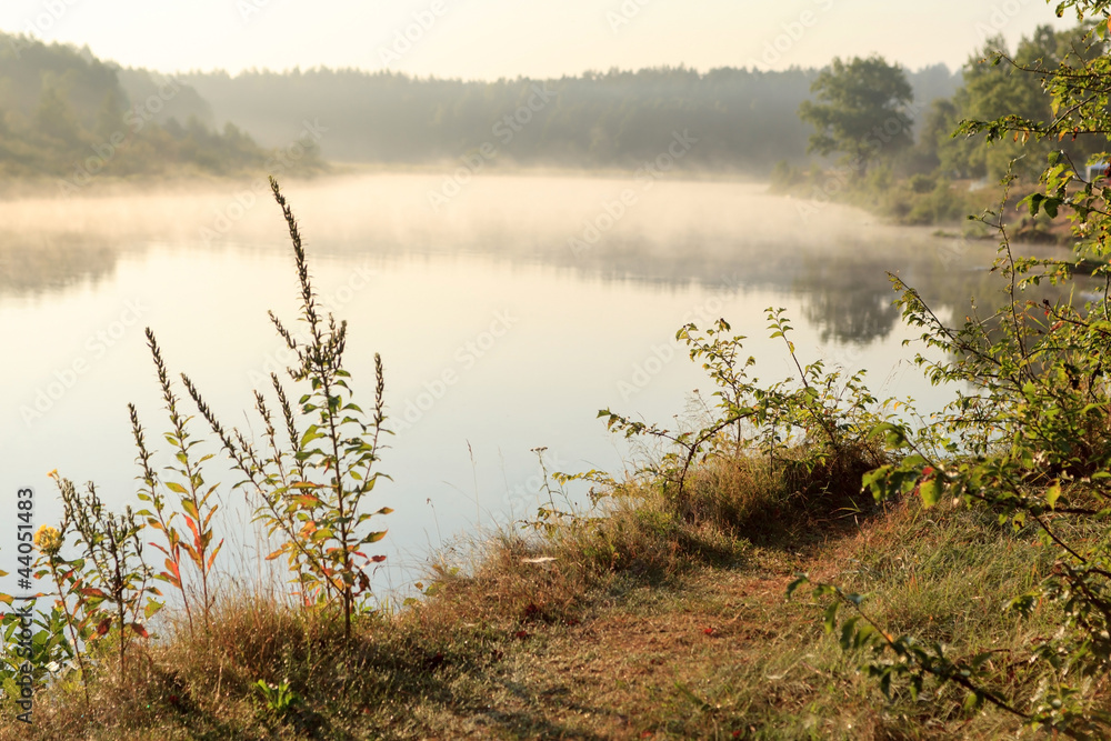 Fototapeta premium A river on a foggy morning