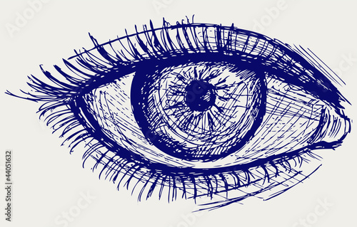 Woman eye. Sketch