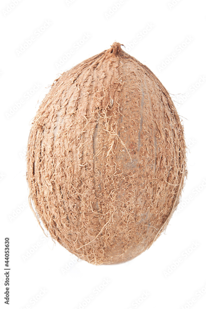coconut isolated on white background coconut isolated on white background