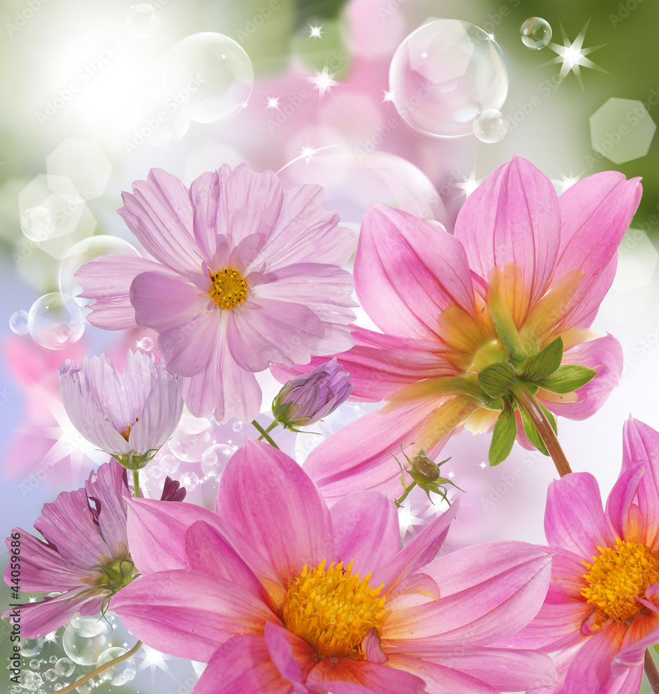 The beautiful spring flowers garden The beautiful spring flowers garden