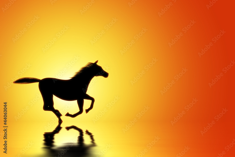 Fototapeta premium Horse at sunset