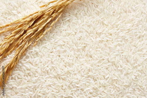 Fotografiet rice background