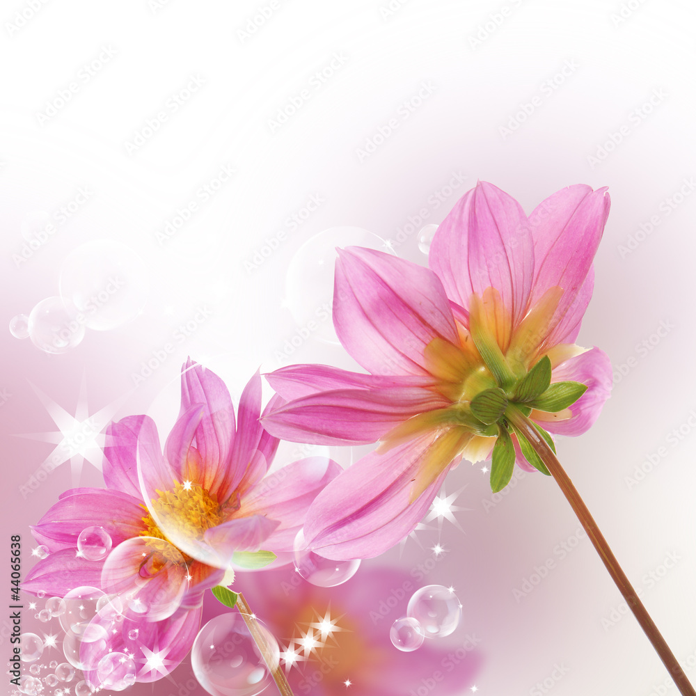 Fototapeta premium Decorative beautiful flower design