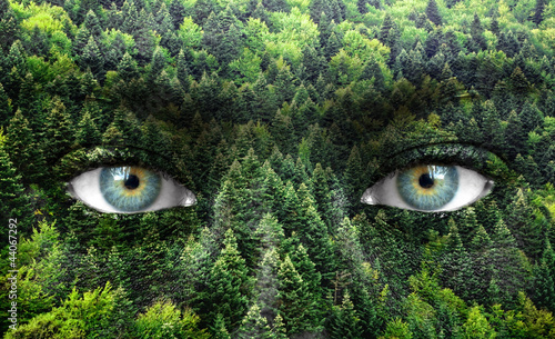 Green forest and human eyes...