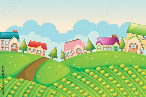 colony of houses in nature