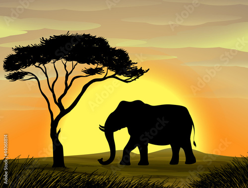 Elephant under a tree