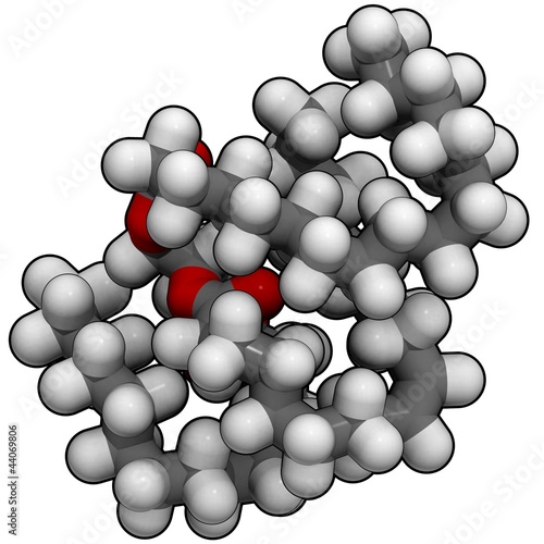 triglyceride  animal fat  - chemical structure