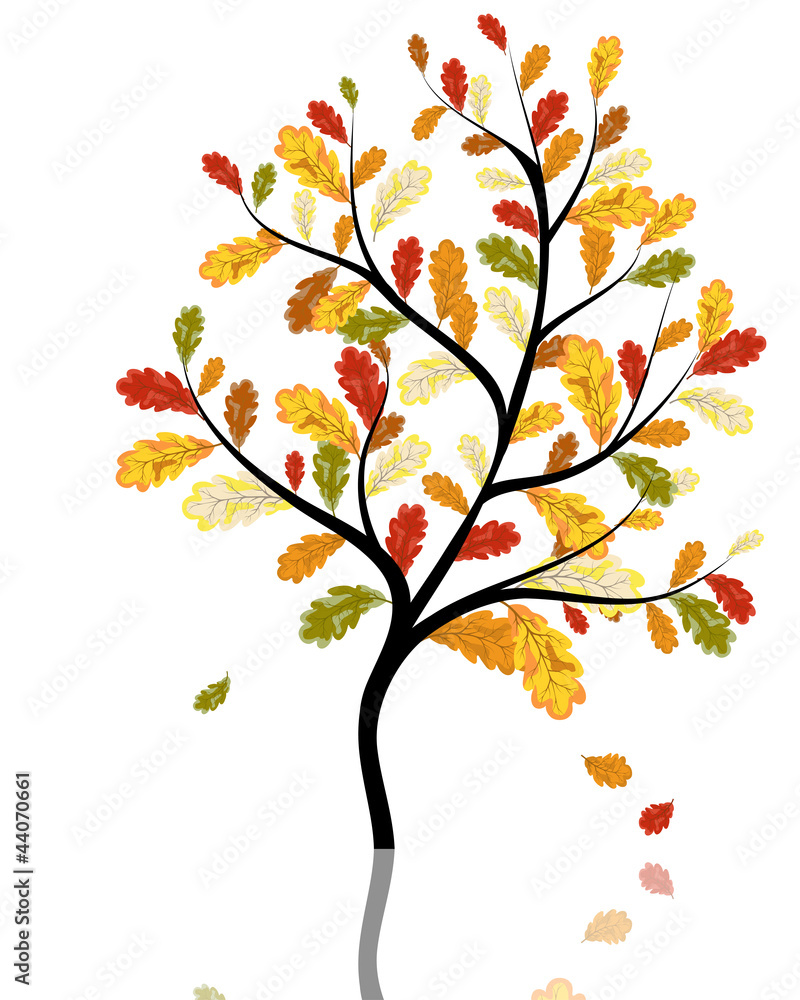 Autumn maples