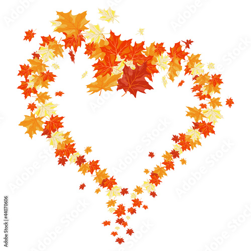 Autumn maples