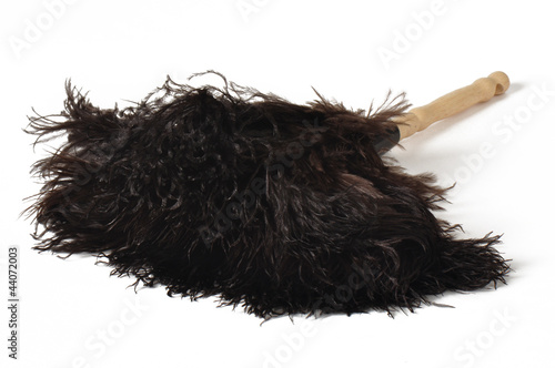 Feather Duster