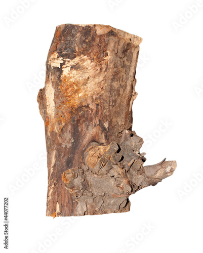 Birch logs isolated on the white background.