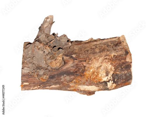 Birch logs isolated on the white background.