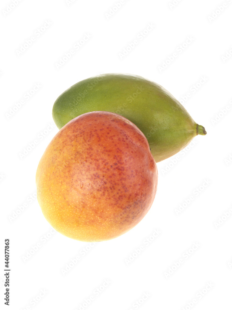 Fresh Mangoes