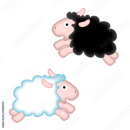 White sheep and black sheep