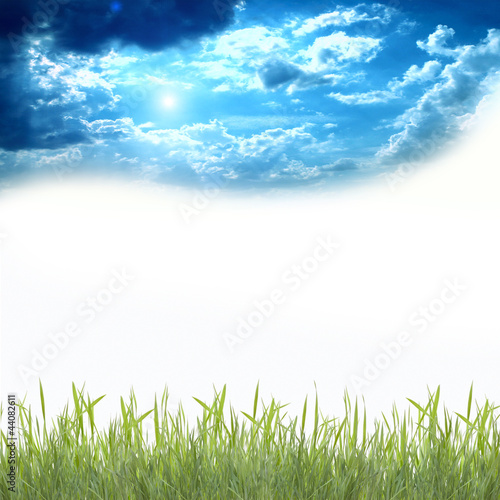 Green grass under blue sky