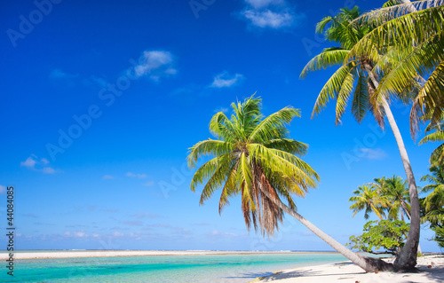 Perfect tropical beach © BlueOrange Studio
