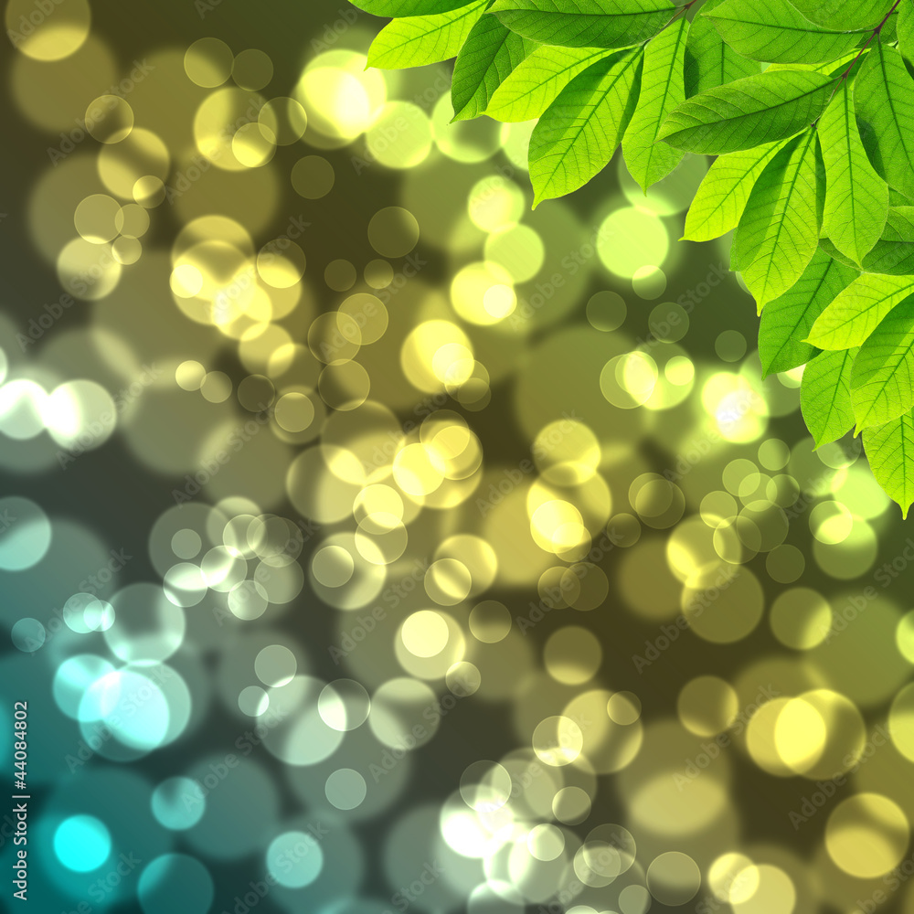 Obraz premium Leafs with shiny bokeh light background