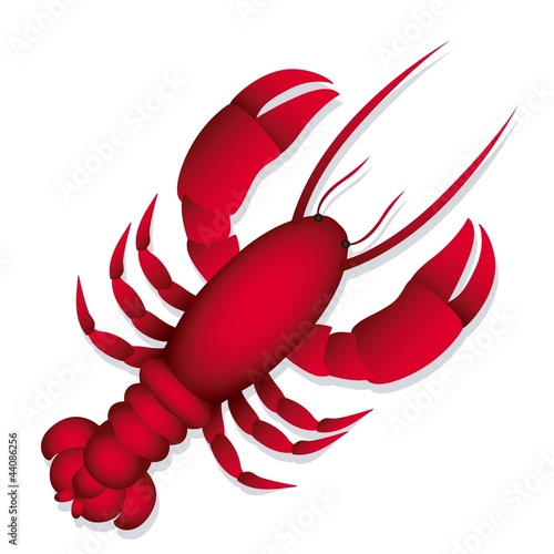 Illustration of lobster