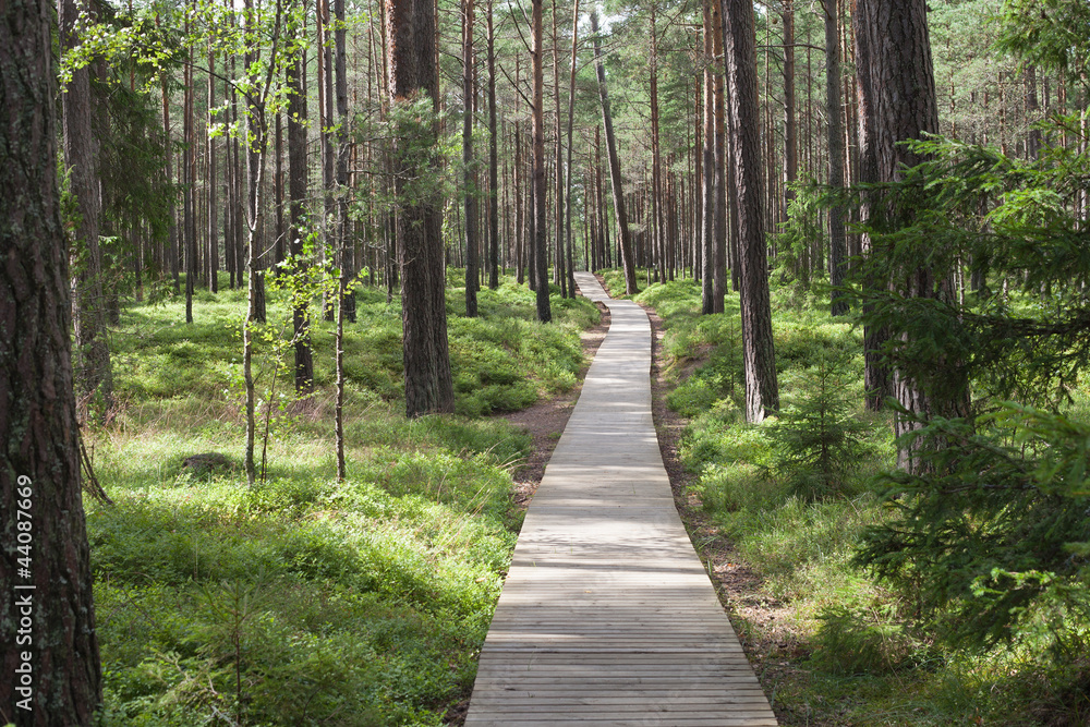 Wooden pavement..