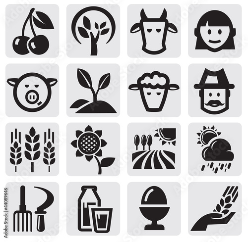 Farm set