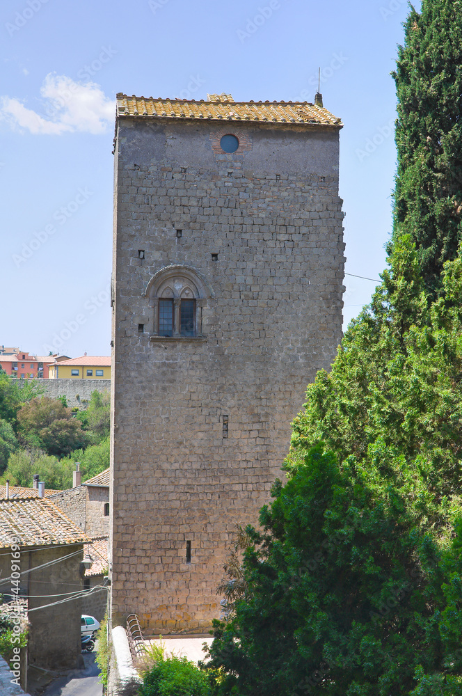 Fototapeta premium Historical tower. Viterbo. Lazio. Italy.