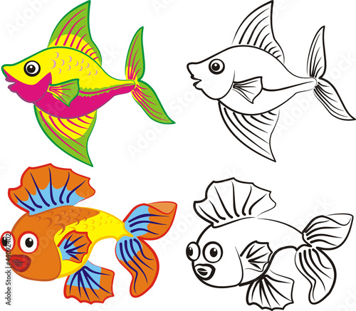 fish