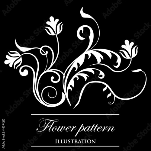 Vector flowers patterns