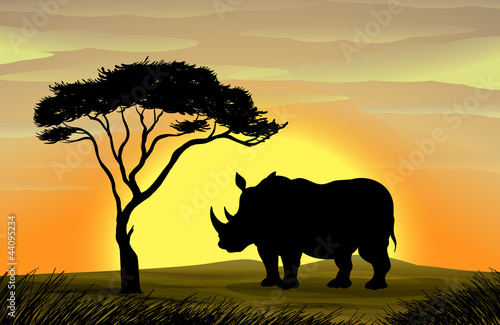 Rhinoceros under a tree