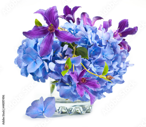 Fototapeta Naklejka Na Ścianę i Meble -  Beautiful bouquet of hydrangeas  and Clematis with glass vase on