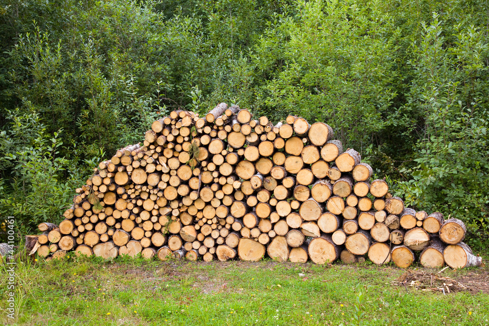 wood stacked for drying in the woodpile