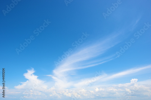 wing-shaped cloud in bright blue sky