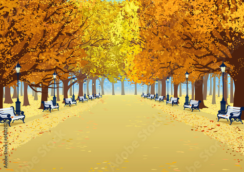 Alley in autumn park between the trees with lush foliage