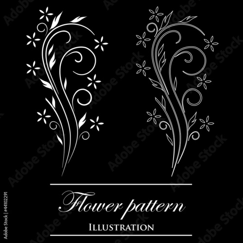Vector flowers patterns