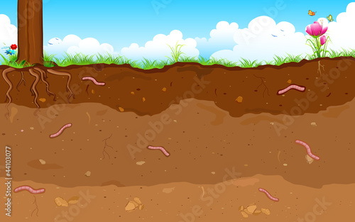 Layer of Soil