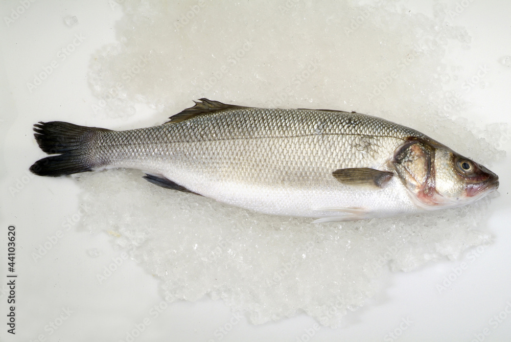 Obraz premium branzino su ghiaccio