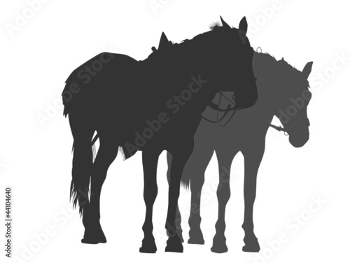 Silhouette of two horses