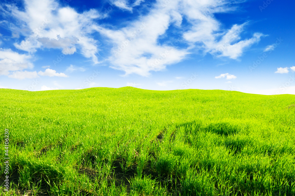 Obraz premium field and sky