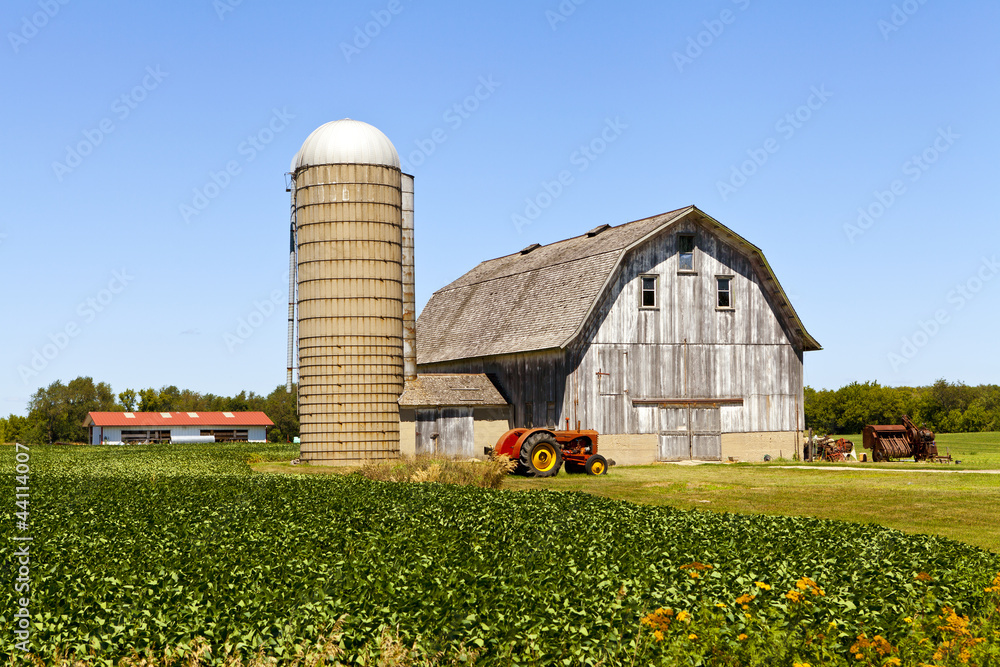 Obraz premium Farm And Tractor