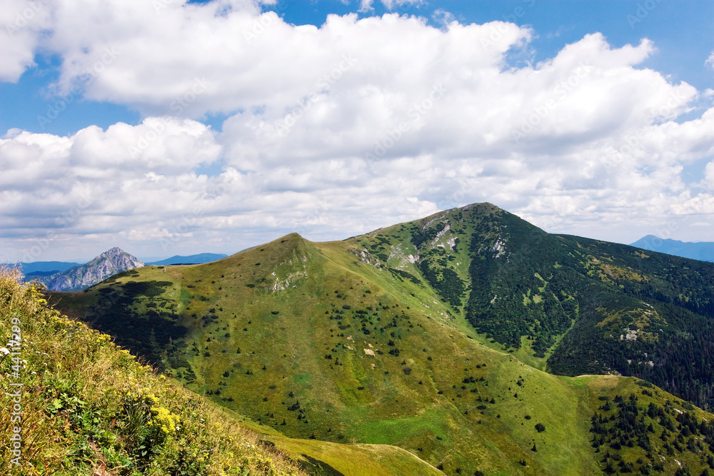 Mountain ridge-Nat. park Little Fatra-Slovakia/Europe