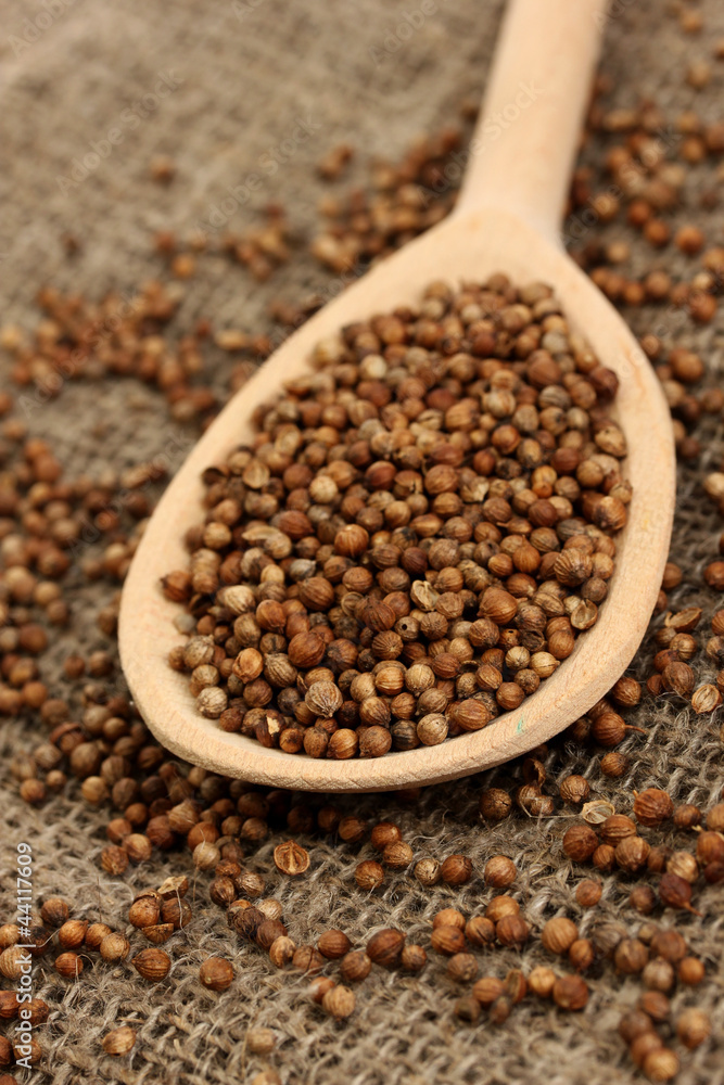 Heap coriander seeds in wooden spoon Heap coriander seeds in wooden spoon