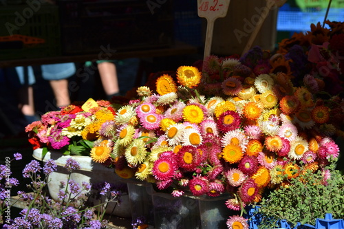 Blumenmarkt photo