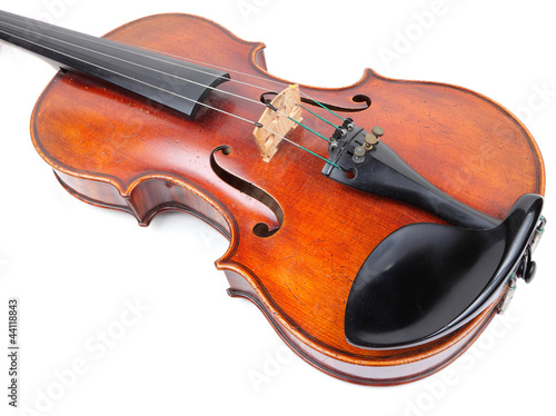 violin