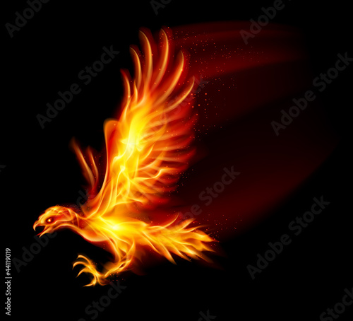 Flaming Hawk