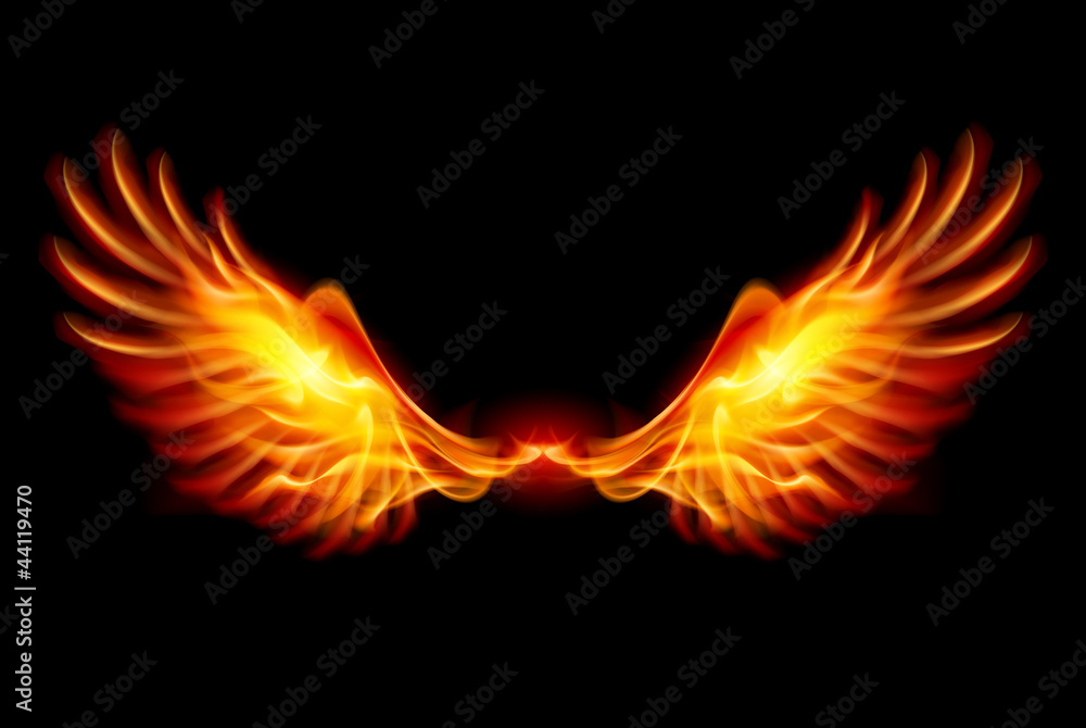 Fototapeta premium Burning Wings
