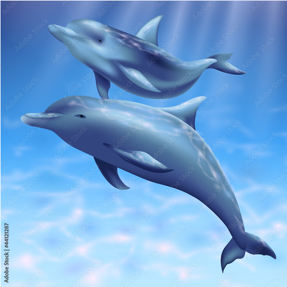 Fototapeta premium Golfinhos