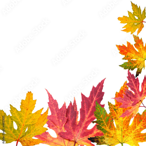 Bunter Herbst: Karte mit fallenden Blättern