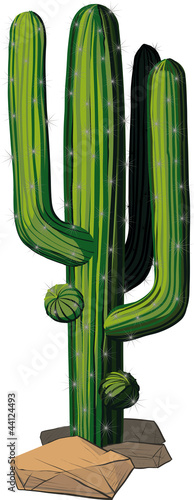 cactus